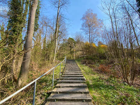 Trails for walking, sports and recreation along the Erlenbach creek and in the Erlenbacher-Tobel...