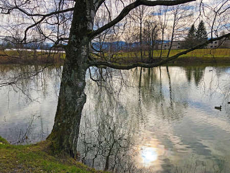 Small lake SchÃ¼belweiher (Schubelweiher or Schuebelweiher) or Pond SchÃ¼belweiher, KÃ¼snacht...