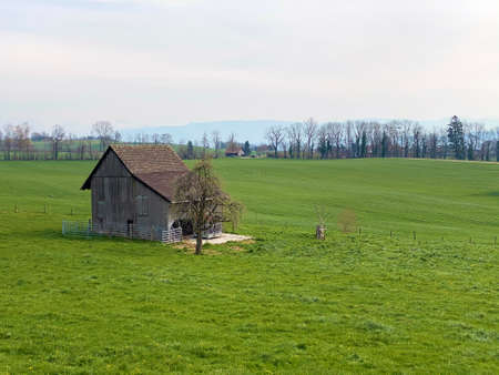 Rural farms and traditional architecture in villages over Lake Zurich, Erlenbach ZH - Canton of ZÃ¼rich (Zurich or Zuerich), Switzerland (Schweiz)のeditorial素材