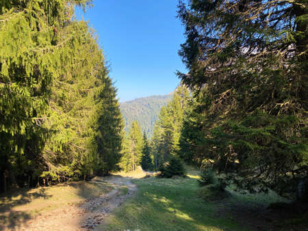 Trails for walking, hiking, sports and recreation in the Eigental alpine valley and along the Alp...