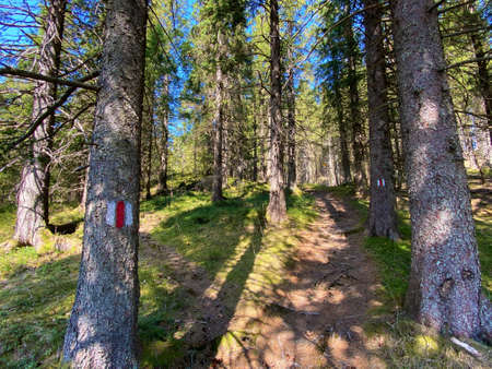 Mountaineering signposts and markings on the hills over the Eigental alpine valley and in central...