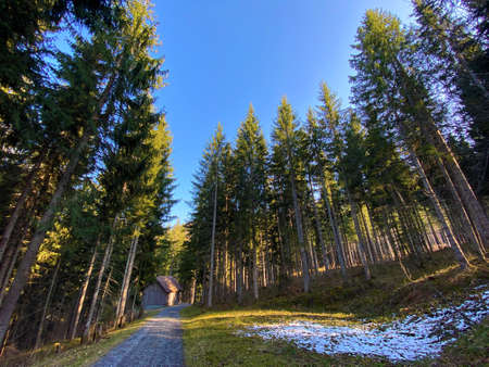 Trails for walking, hiking, sports and recreation in the Alptal alpine valley and along the Alp river, Einsiedeln - Canton of Schwyz, Switzerland (Kanton Schwyz, Schweiz)の写真素材