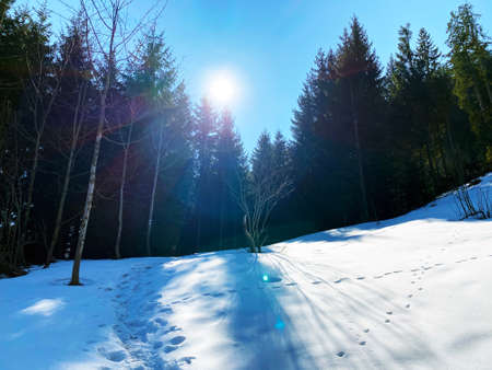 The early spring atmosphere and the last remnants of winter in the Alptal alpine valley, Einsiedeln - Canton of Schwyz, Switzerland (Kanton Schwyz, Schweiz)の写真素材
