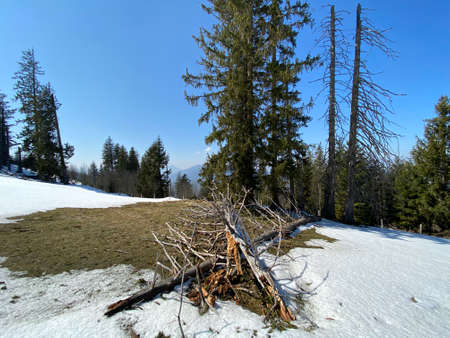 The early spring atmosphere and the last remnants of winter in the Alptal alpine valley, Einsiedeln - Canton of Schwyz, Switzerland (Kanton Schwyz, Schweiz)の写真素材