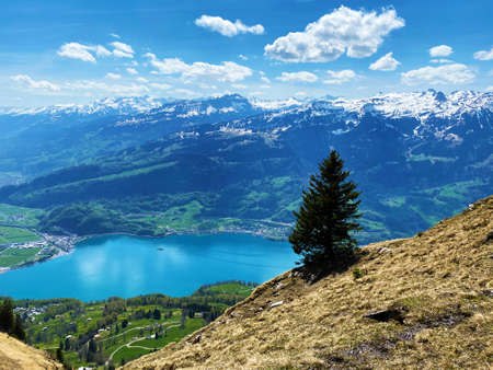 Lake Walensee, between the mountain ranges of Churfirsten and Seeztal subalpine valley, Walenstadtberg - Canton of St. Gallen, Switzerland (Kanton St. Gallen, Schweiz)の写真素材