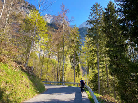 Trails for walking, hiking, sports and recreation on the slopes of Churfirsten mountain range and over lake Walensee, Walenstadtberg - Canton of St. Gallen, Switzerland (Kanton St. Gallen, Schweiz)の写真素材