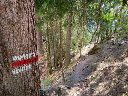 Mountaineering signposts and markings on the slopes of the Churfirsten mountain range and over lake Walensee, Walenstadtberg - Canton of St. Gallen, Switzerland (Kanton St. Gallen, Schweiz)の写真素材