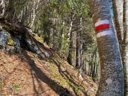 Mountaineering signposts and markings on the slopes of the Churfirsten mountain range and over lake Walensee, Walenstadtberg - Canton of St. Gallen, Switzerland (Kanton St. Gallen, Schweiz)の写真素材