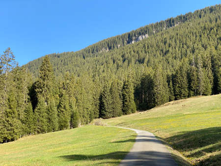 Trails for walking, hiking, sports and recreation on the slopes of the Pilatus massif and in the alpine valleys at the foot of the mountain, Alpnach - Canton of Obwalden, Switzerland (Schweiz)の写真素材