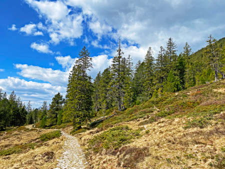 Trails for walking, hiking, sports and recreation on the slopes of the Pilatus massif and in the alpine valleys at the foot of the mountain, Alpnach - Canton of Obwalden, Switzerland (Schweiz)の写真素材
