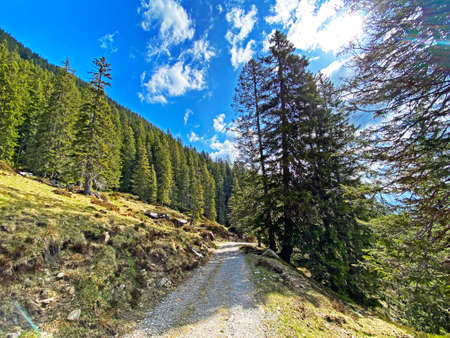 Trails for walking, hiking, sports and recreation on the slopes of the Pilatus massif and in the alpine valleys at the foot of the mountain, Alpnach - Canton of Obwalden, Switzerland (Schweiz)の写真素材