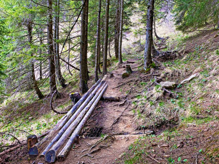Trails for walking, hiking, sports and recreation on the slopes of the Pilatus massif and in the...