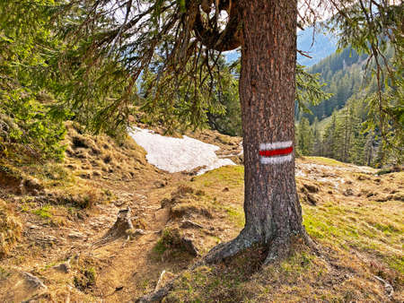Mountaineering signposts and markings on peaks and slopes of the Pilatus mountain range and in the...