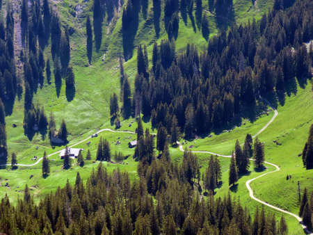Alpine pastures and grasslands on the slopes of the Pilatus massif and in the alpine valleys at the foot of the mountain, Alpnach - Canton of Obwalden, Switzerland (Kanton Obwald, Schweiz)の写真素材