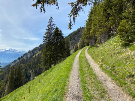Trails for walking, hiking, sports and recreation on the slopes of the Pilatus massif and in the alpine valleys at the foot of the mountain, Alpnach - Canton of Obwalden, Switzerland (Schweiz)の写真素材