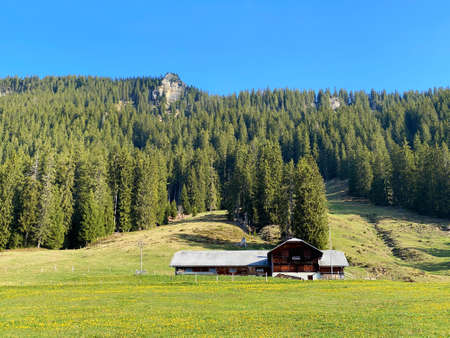 Traditional rural architecture and family livestock farms on the slopes of the Pilatus mountain massif, Alpnach - Canton of Obwalden, Switzerland (Kanton Obwalden, Schweiz)のeditorial素材