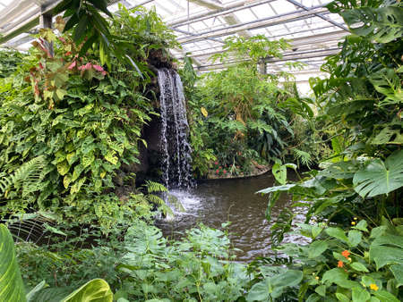 Butterfly House or Schmetterlingshaus (Flower Island Mainau on the Lake Constance or Die Blumeninsel im Bodensee) - Constance, Germany / Konstanz, Deutschlandの写真素材