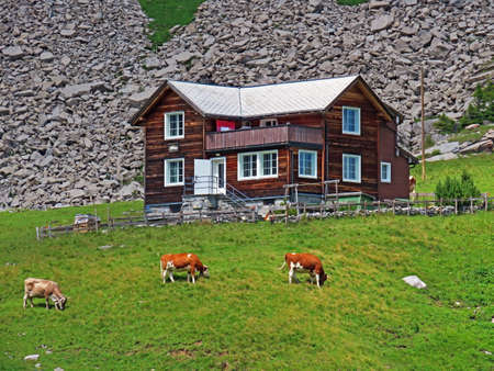 Traditional rural architecture and family livestock farms of the Uri Alps mountain massif, Melchtal - Canton of Obwalden, Switzerland (Kanton Obwald, Schweiz)の写真素材