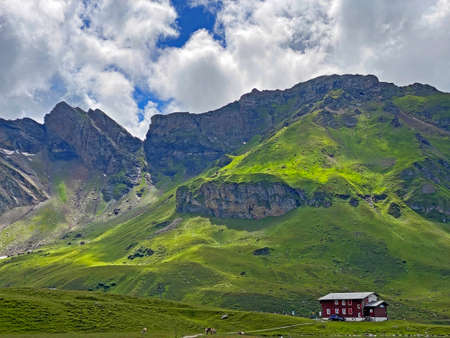 Traditional rural architecture and family livestock farms of the Uri Alps mountain massif, Melchtal - Canton of Obwalden, Switzerland (Kanton Obwald, Schweiz)のeditorial素材