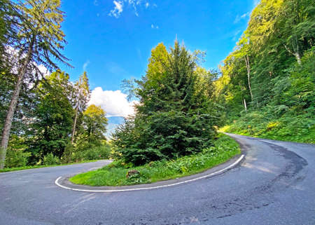 Trails for walking, hiking, sports and recreation along the waterfalls Giessbach Falls...