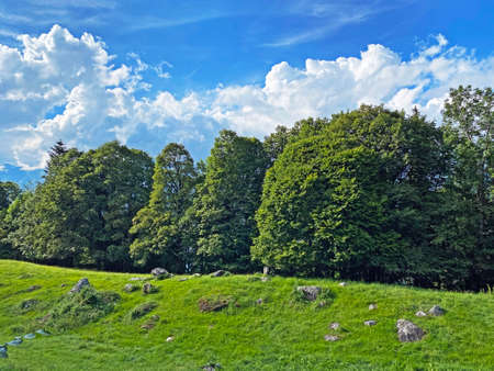 Beautiful photogenic clouds over Lake Brienz (Brienzersee) and the surrounding alpine peaks - Canton of Bern, Switzerland (Kanton Bern, Schweiz)の写真素材