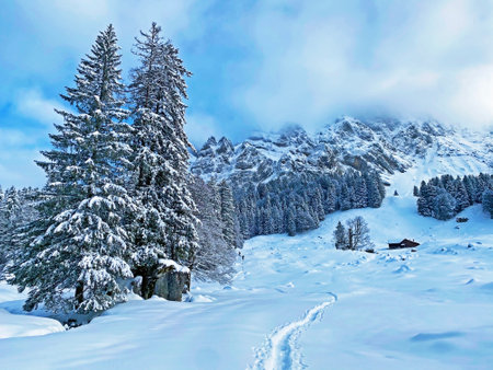 Mystical winter atmosphere on the Alpstein range in Appenzell Alps massif, SchwÃ¤galp mountain...