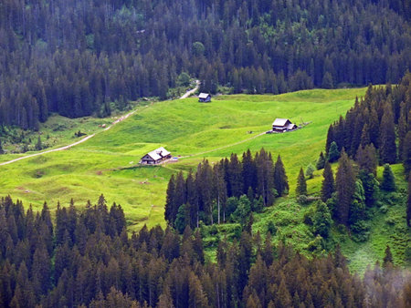 Alpine pastures and grasslands over the Iberig region and on the slopes of the Schwyz Alps mountain massif, Oberiberg - Canton of Schwyz, Switzerland  (Kanton Schwyz, Schweiz)の写真素材