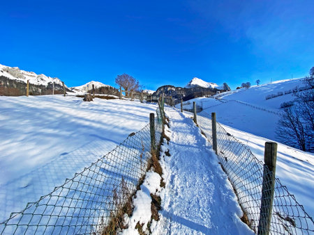 Wonderful winter hiking trails and traces on the fresh alpine snow cover of the Alpstein mountain massif and in the Obertoggenburg region, Unterwasser - Canton of St. Gallen, Switzerland (Schweiz)の写真素材