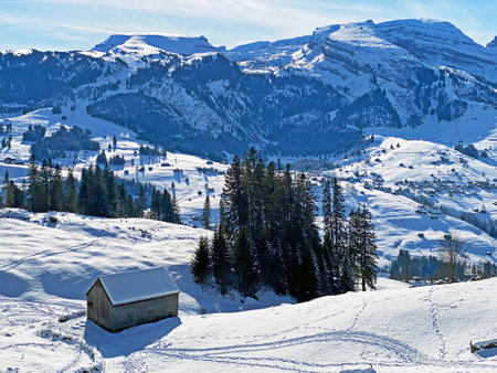 Perfect winter alpine landscape in the Thur river valley between the Churfirsten and Alpstein mountain ranges, Unterwasser - Canton of St. Gallen, Switzerland (Schweiz)の写真素材