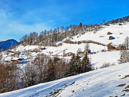 Unbelievably beautiful winter atmosphere on the pastures and hills of the Swiss Alps in the Obertoggenburg region, Unterwasser - Canton of St. Gallen, Switzerland (Schweiz)の写真素材