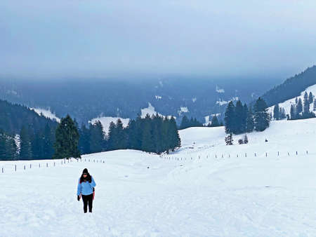 Hikers and walkers on the beautiful idyllic fresh snow of the Swiss Alps and on slopes of the Alpstein mountain range, EnnetbÃ¼hl or Ennetbuehl - Canton of St. Gallen, Switzerland (Schweiz)の写真素材