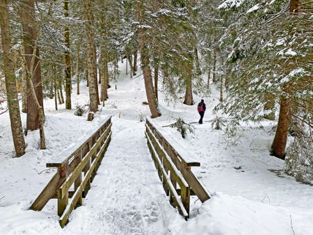 Small wooden bridges covered with fresh alpine snow on the slopes of the Churfirsten mountain range...