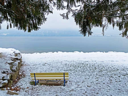 Snow idyll on the lake Lucerne (VierwaldstÃ¤ttersee or Vierwaldstaettersee) in the Weggis settlement - Canton of Lucerne, Switzerland (Schweiz)の写真素材