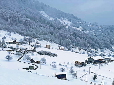 Fresh snow cover in the subalpine mixed forest on the slopes of Mountan Rigi, Weggis - Canton of...