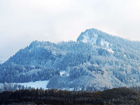 Snow-capped alpine peaks and winter in mixed forests above Lake Walen or Lake Walenstadt (Walensee), Weesen - Canton of St. Gallen, Switzerland (Kanton St. Gallen, Schweiz)の写真素材