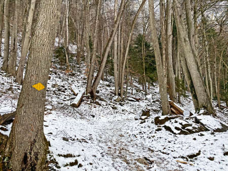 Wonderful winter hiking trails on the fresh alpine snow cover of the Churfirsten mountain range and...