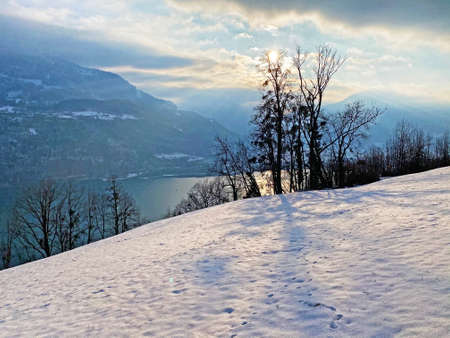 Thinned out trees on the slopes of the Churfirsten mountain range and above the Lake Walen or Lake Walenstadt (Walensee), Amden - Canton of St. Gallen, Switzerland (Kanton St. Gallen, Schweiz)の写真素材