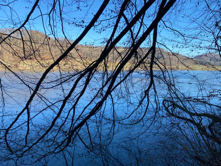 Late winter and early spring on the TÃ¼rler Lake or TÃ¼rlersee Lake (Tuerlersee oder Turlersee), Aeugst am Albis - Canton of ZÃ¼rich, Switzerland (Schweiz)の写真素材