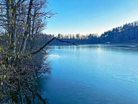 Late winter and early spring on the TÃ¼rler Lake or TÃ¼rlersee Lake (Tuerlersee oder Turlersee),...