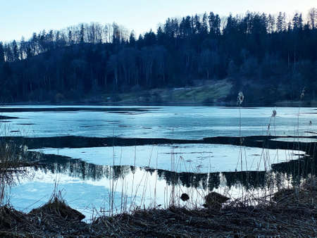 Late winter and early spring on the TÃ¼rler Lake or TÃ¼rlersee Lake (Tuerlersee oder Turlersee), Aeugst am Albis - Canton of ZÃ¼rich, Switzerland (Schweiz)の写真素材