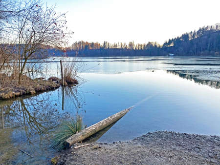 Late winter and early spring on the TÃ¼rler Lake or TÃ¼rlersee Lake (Tuerlersee oder Turlersee), Aeugst am Albis - Canton of ZÃ¼rich, Switzerland (Schweiz)の写真素材