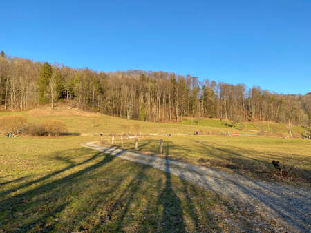 Natural landscape with early spring pastures and mixed forests in the area of Lake TÃ¼rler or TÃ¼rlersee lake (Tuerlersee oder Turlersee) during early spring, Aeugst am Albis - Switzerland (Schweiz)の写真素材