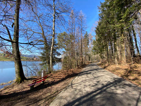 Recreational trails and promenades along the Bergweiher pond and in the protected area of Grindelriet above Lake ZÃ¼rich (ZÃ¼richsee), Horgen - Canton of ZÃ¼rich (Zuerich or Zurich), Switzerland (Schweizの写真素材