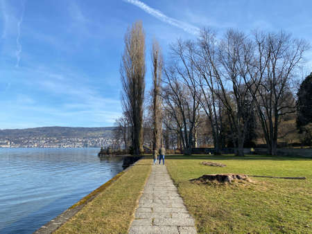 Court park next to the Au castle (Villa Au or Schloss Au) on the Au peninsula and along Lake Zurich (Zuerichsee oder ZÃ¼richsee), WÃ¤denswil (Waedenswil) - Canton of ZÃ¼rich (Zuerich), Switzerlandの写真素材