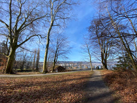 Recreational trails and promenades along the Au lake or Ausse and Zurich lake (Zuerichsee oder ZÃ¼richsee), WÃ¤denswil (Waedenswil) - Canton of ZÃ¼rich (Zuerich), Switzerland / Schweizの写真素材