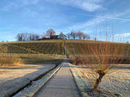 Recreational trails and promenades along the Au lake or Ausse and Zurich lake (Zuerichsee oder ZÃ¼richsee), WÃ¤denswil (Waedenswil) - Canton of ZÃ¼rich (Zuerich), Switzerland / Schweizのeditorial素材