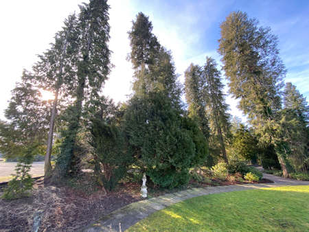 Court park next to the Au castle (Villa Au or Schloss Au) on the Au peninsula and along Lake Zurich (Zuerichsee oder ZÃ¼richsee), WÃ¤denswil (Waedenswil) - Canton of ZÃ¼rich (Zuerich), Switzerlandのeditorial素材