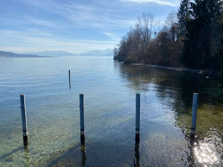 Lake Zurich (Zuerichsee oder ZÃ¼richsee) and a coastal landscape with vegetation in late winter in...