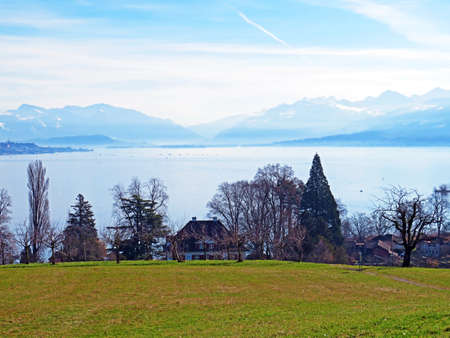 Lake Zurich (Zuerichsee oder ZÃ¼richsee) and a coastal landscape with vegetation in late winter in the Au Peninsula area, WÃ¤denswil (Waedenswil) - Canton of ZÃ¼rich (Zuerich), Switzerland (Schweiz)の写真素材