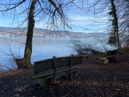 Lake Zurich (Zuerichsee oder ZÃ¼richsee) and a coastal landscape with vegetation in late winter in the Au Peninsula area, WÃ¤denswil (Waedenswil) - Canton of ZÃ¼rich (Zuerich), Switzerland (Schweiz)の写真素材